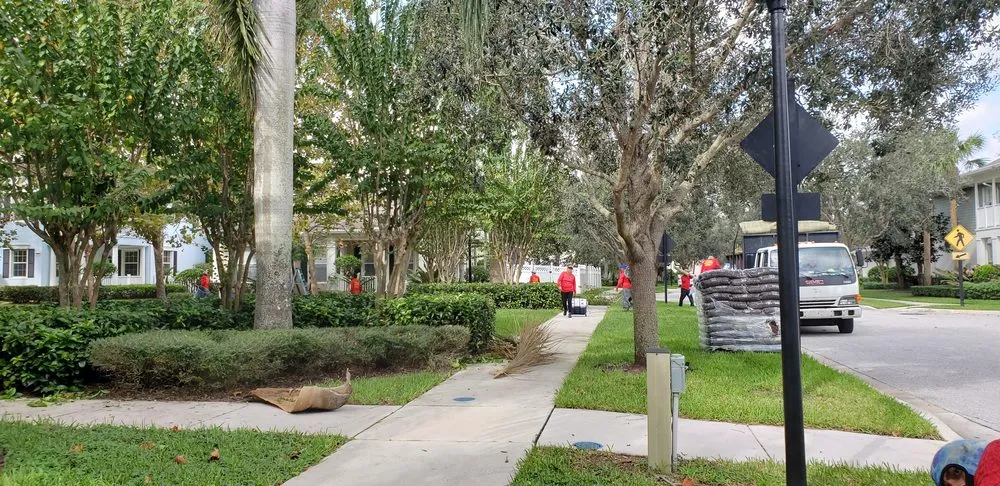 Professional landscaping services in West Palm Beach, FL - United Landscape Service