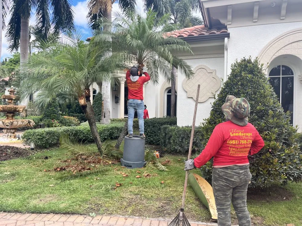 Top-rated landscaping services experts serving West Palm Beach, FL - United Landscape Service