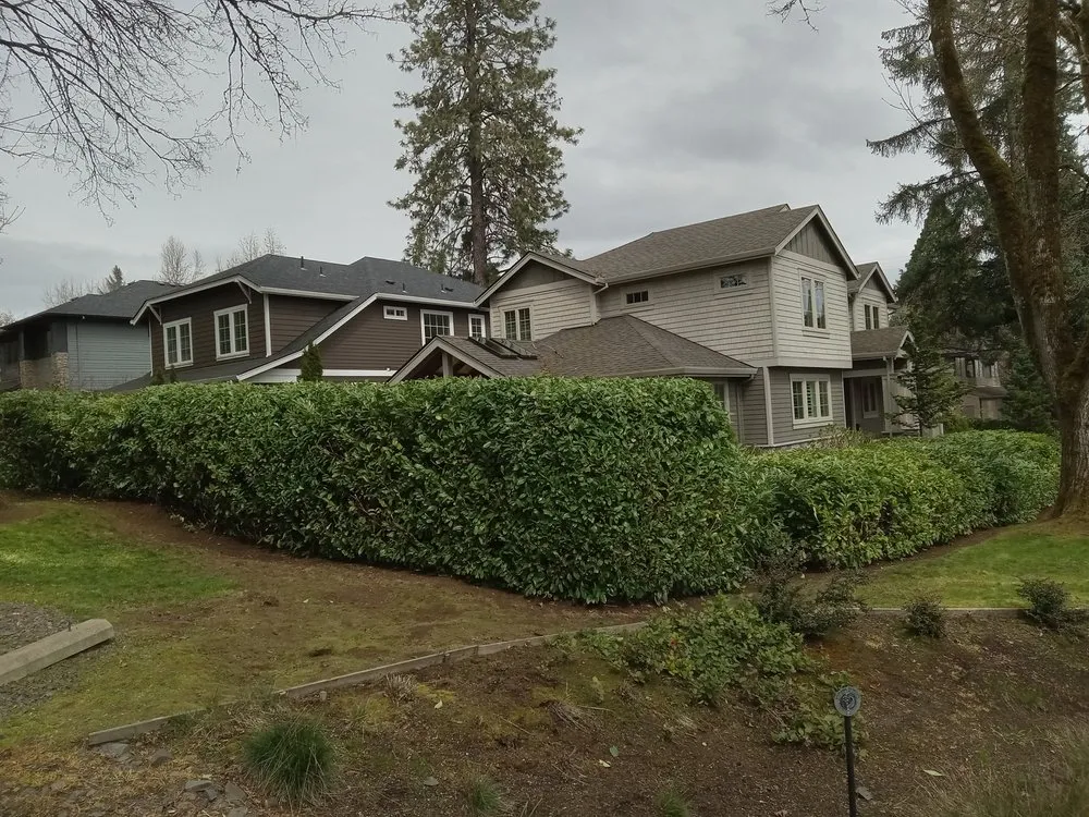 Expert residential landscaping for residential properties in Woodburn, OR by United Landscape