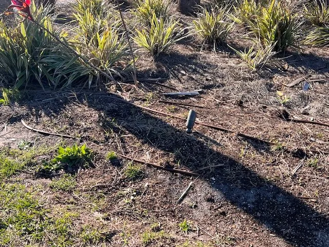 Trusted yard maintenance experts serving Saint Augustine, FL - United Landscapes