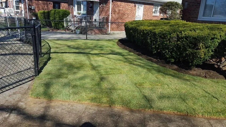 Expert lawn care service experts serving Richmond Hills, NY - United Landscaping & Construction