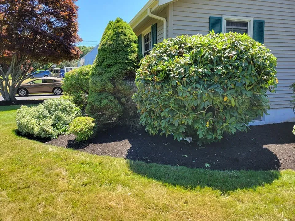 Trusted yard cleanup service in East Hartford, CT - United Landscaping & Tree Services