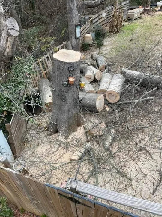 Reliable garden landscaping for homes in East Hartford, CT by United Landscaping & Tree Services