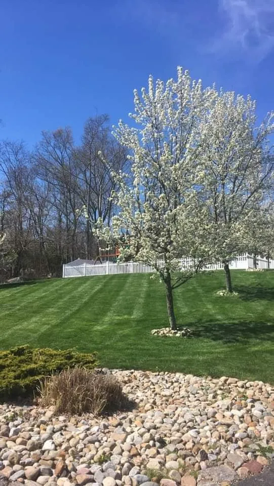 Affordable landscape design with custom design across East Hartford, CT - United Landscaping & Tree Services