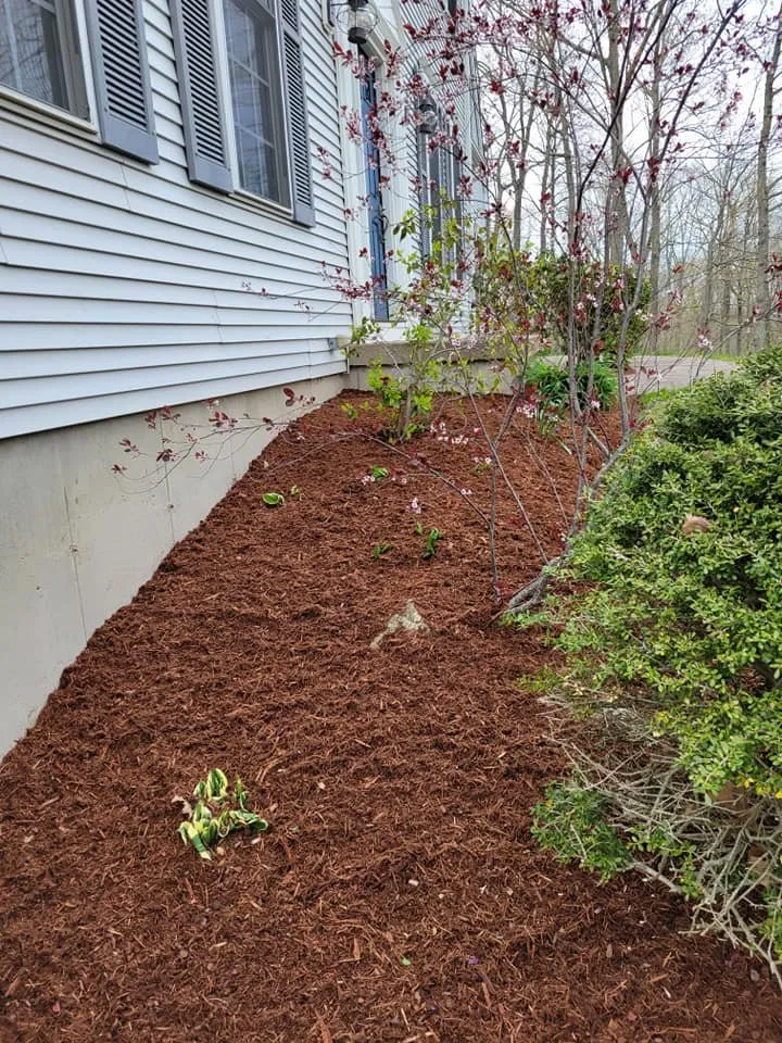 Trusted landscaping services in East Hartford, CT by United Landscaping & Tree Services
