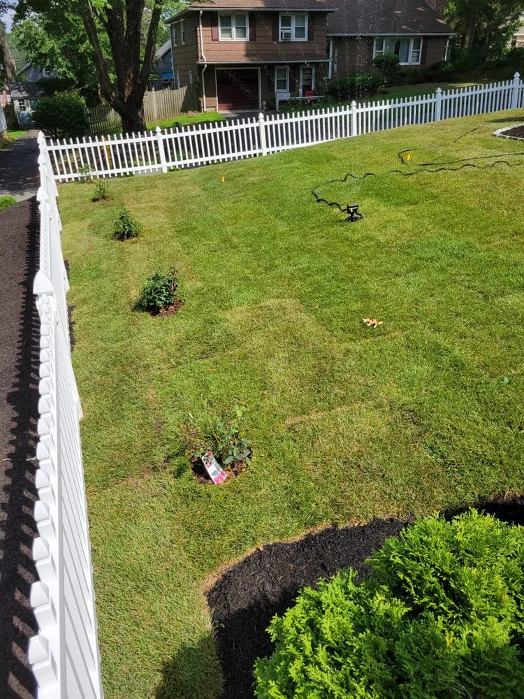 Trusted yard cleanup service in East Hartford, CT - United Landscaping & Tree Services