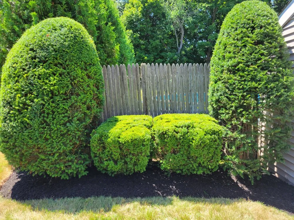 Professional residential landscaping in East Hartford, CT - United Landscaping & Tree Services