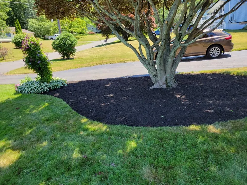 Local residential landscaping for residential properties across East Hartford, CT - United Landscaping & Tree Services
