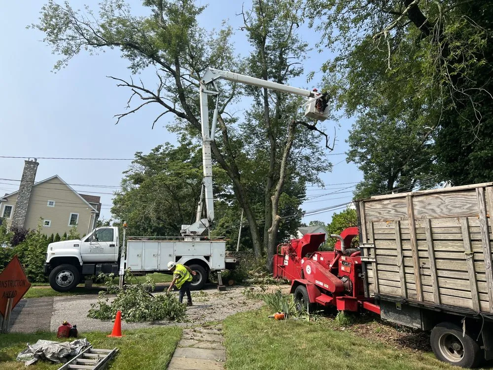 Reliable lawn mowing service in Norwalk, CT - United Landscaping & Tree Services