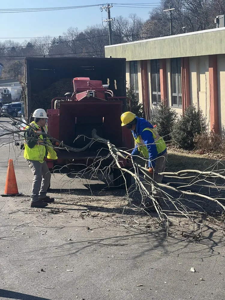 Top-rated outdoor landscaping in Norwalk, CT - United Landscaping & Tree Services