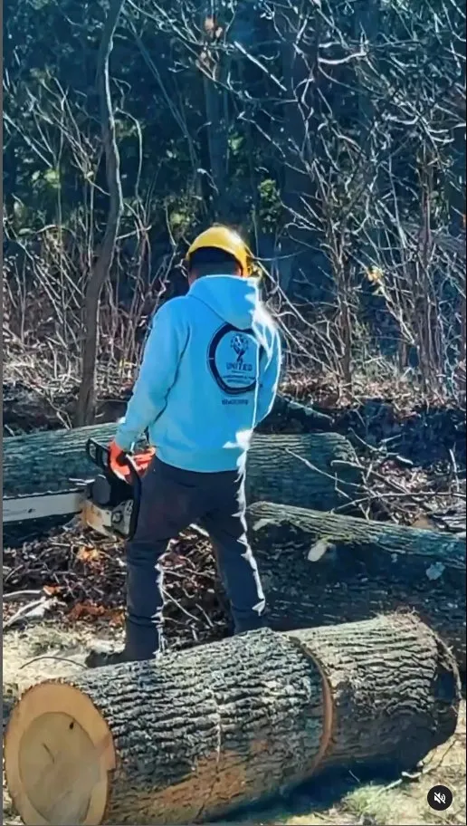 Custom landscape design for homes in Norwalk, CT by United Landscaping & Tree Services