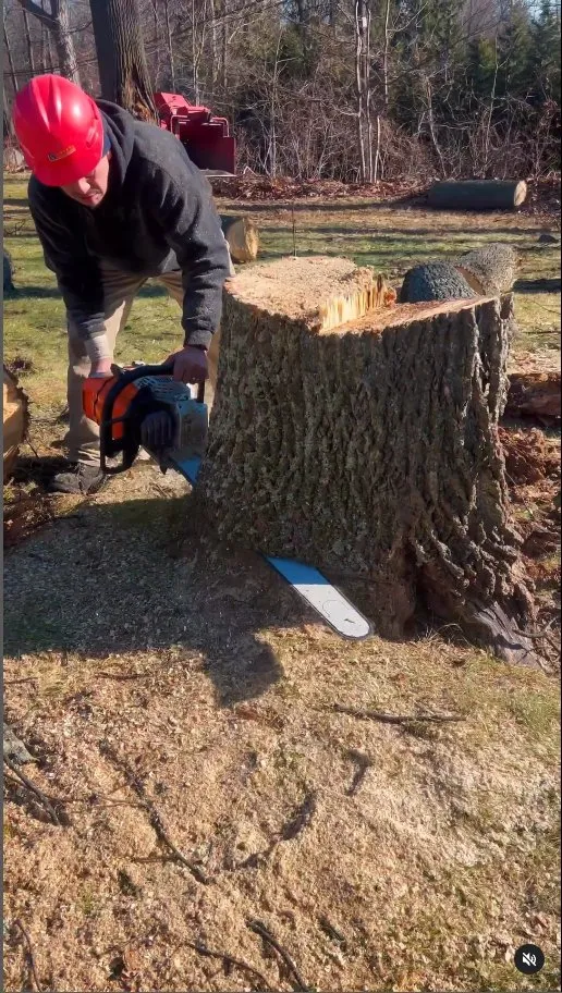 Professional lawn mowing service in Norwalk, CT - United Landscaping & Tree Services