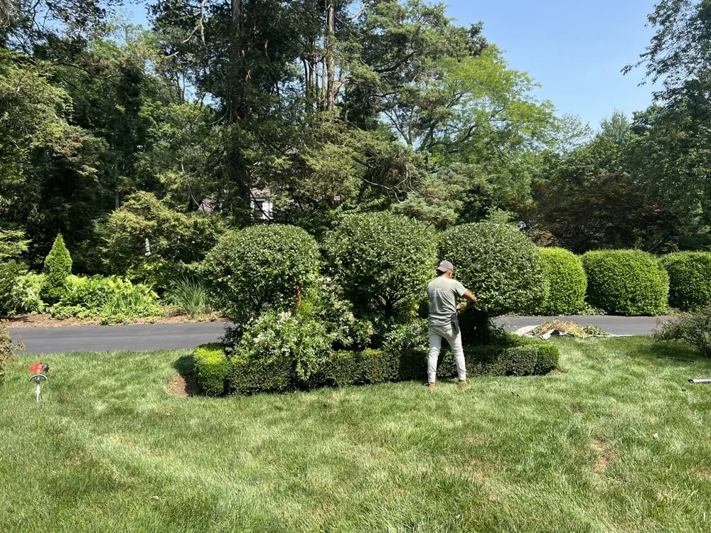 Trusted yard cleanup service in Norwalk, CT - United Landscaping & Tree Services