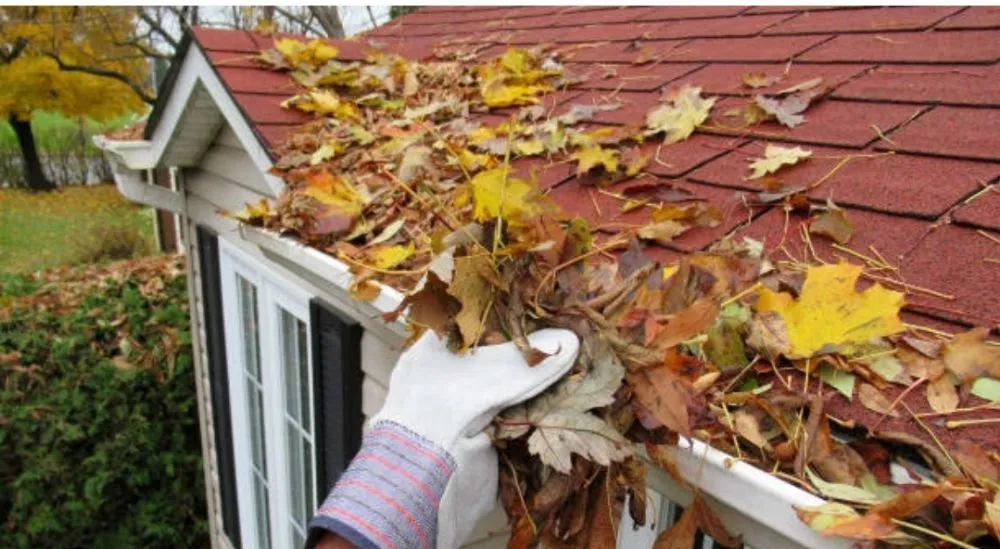 Professional outdoor landscaping experts serving Shelton, WA - United Landscaping & Tree Services