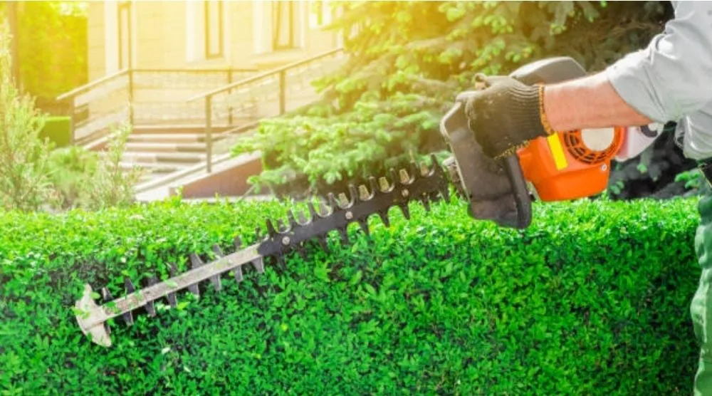 Professional lawn care service in Shelton, WA - United Landscaping & Tree Services