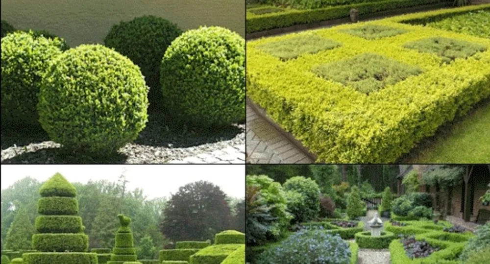 Affordable garden landscaping for homes in Shelton, WA by United Landscaping & Tree Services