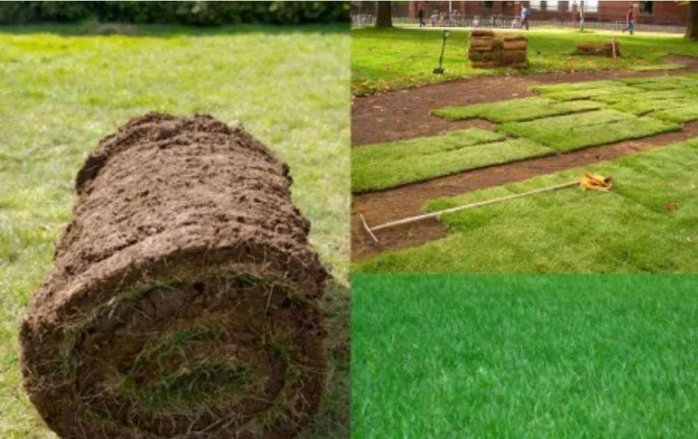 Custom landscaping services experts serving Shelton, WA - United Landscaping & Tree Services