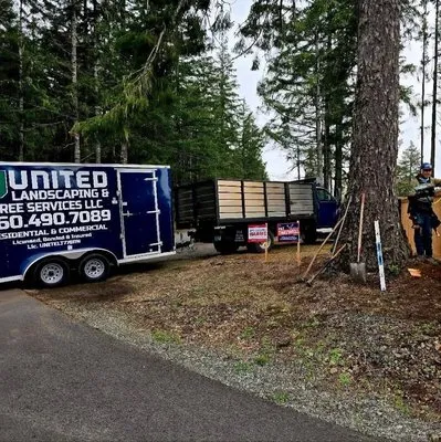 United Landscaping & Tree Services Logo