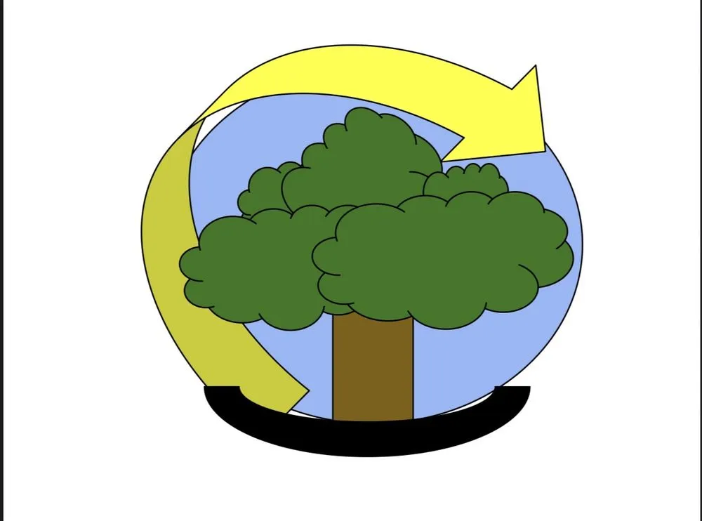 Professional lawn care service near you in Lexington, KY by United Landscaping & Trees