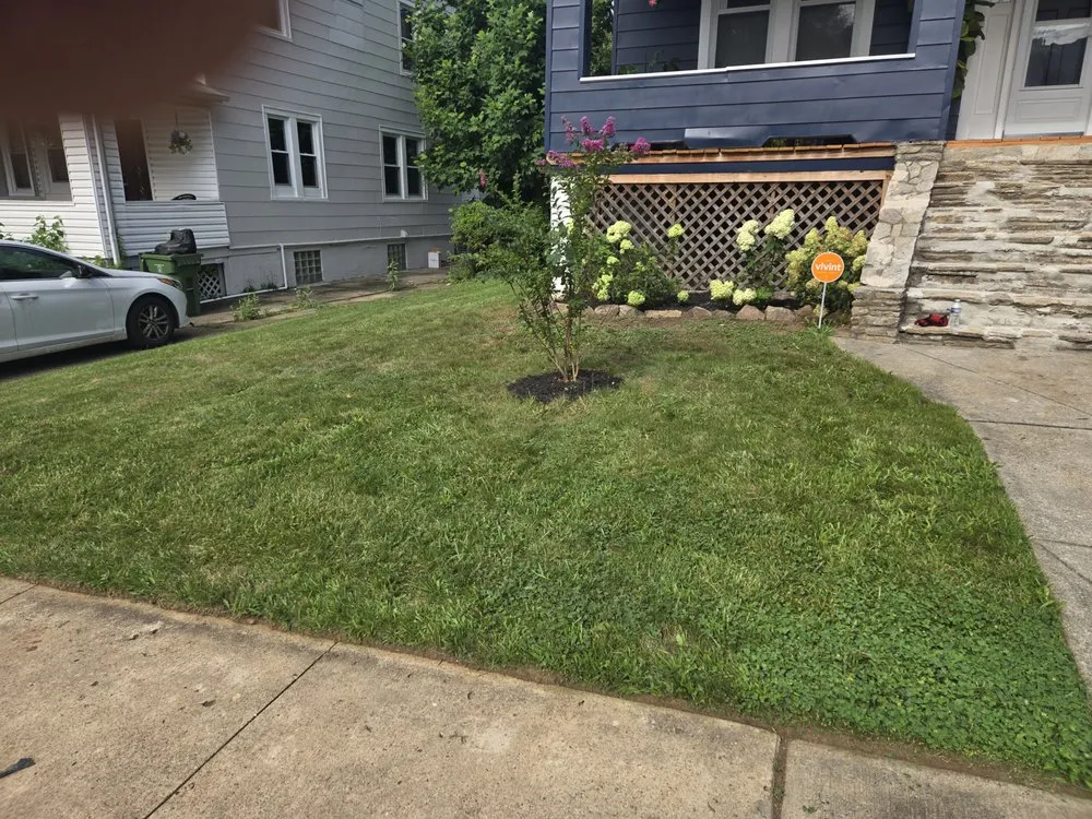 Local yard maintenance near you in Baltimore, MD by United Landscaping