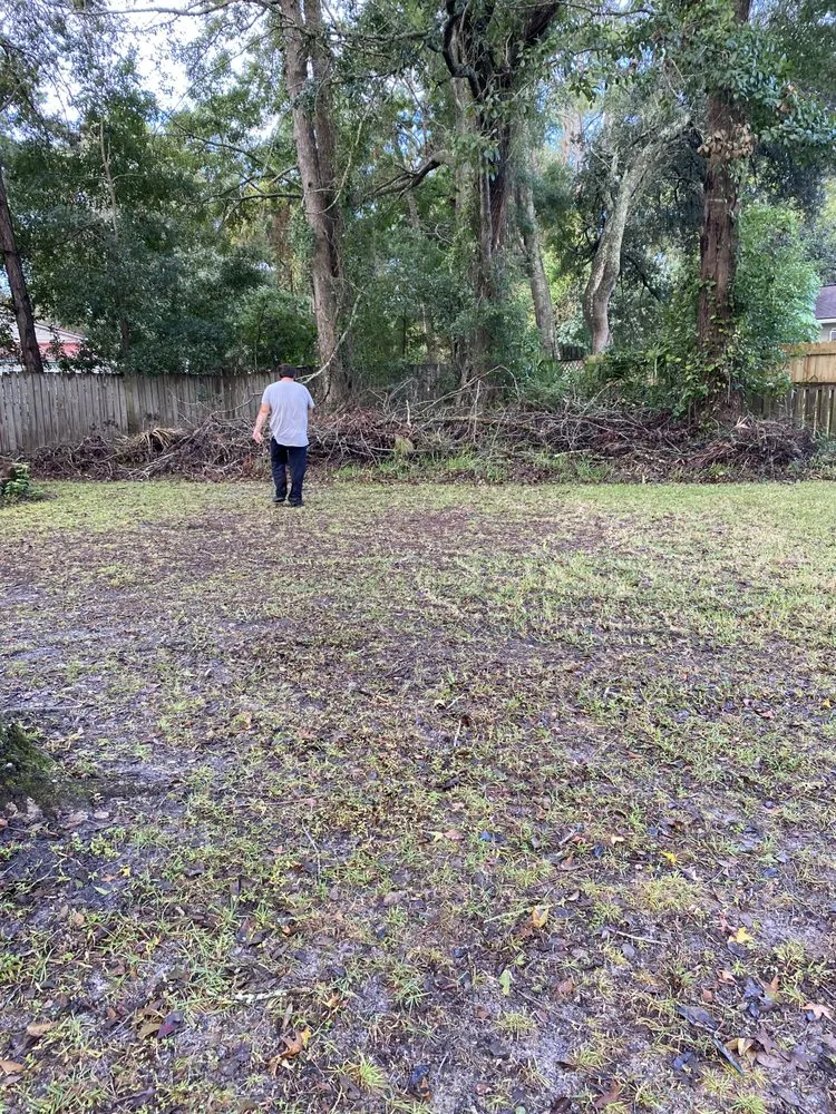 Affordable residential landscaping in Hortense, GA by United Lawn Care And Pressure Washing Services