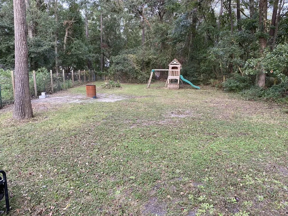 Local yard cleanup service experts serving Hortense, GA - United Lawn Care And Pressure Washing Services