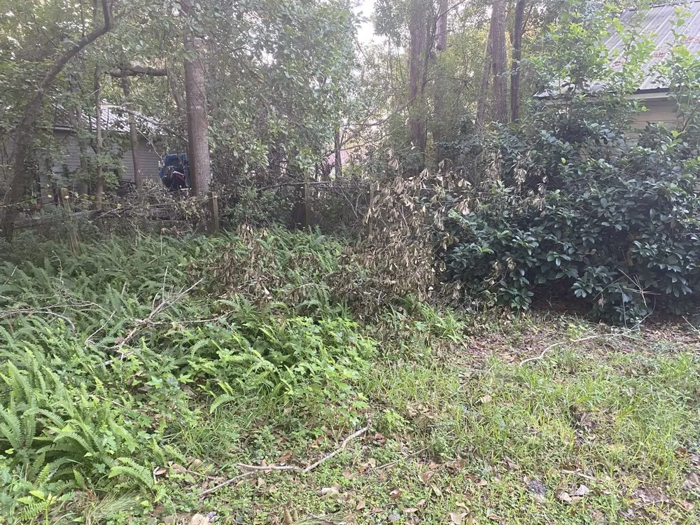 Expert garden landscaping for year-round maintenance across Hortense, GA - United Lawn Care And Pressure Washing Services