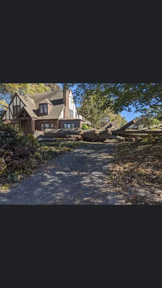 Expert residential landscaping for residential properties in High Point, NC by United Lawn Care And Tree Service