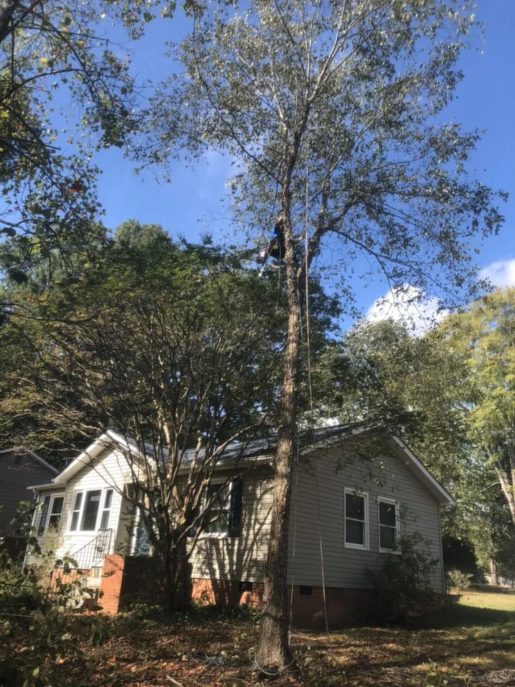 Custom landscape installation for homes in High Point, NC by United Lawn Care And Tree Service