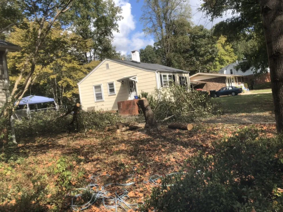 Reliable residential landscaping for outdoor upgrades across High Point, NC - United Lawn Care And Tree Service