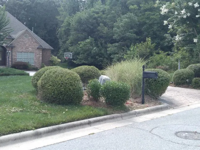 Affordable garden landscaping near you across High Point, NC - United Lawn Care And Tree Service