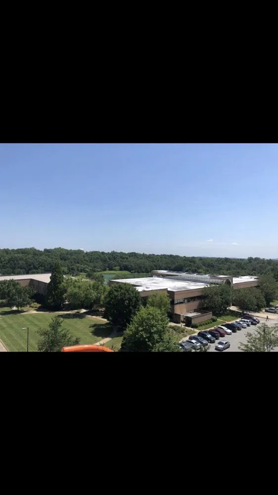 Trusted landscaping services for year-round maintenance across High Point, NC - United Lawn Care And Tree Service