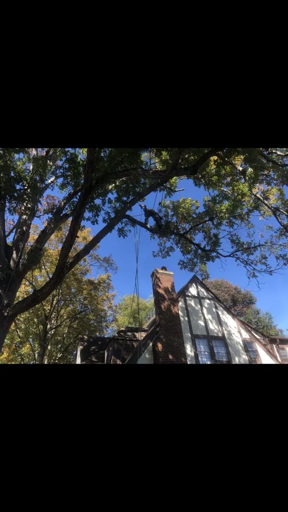 Expert landscape design experts serving High Point, NC - United Lawn Care And Tree Service