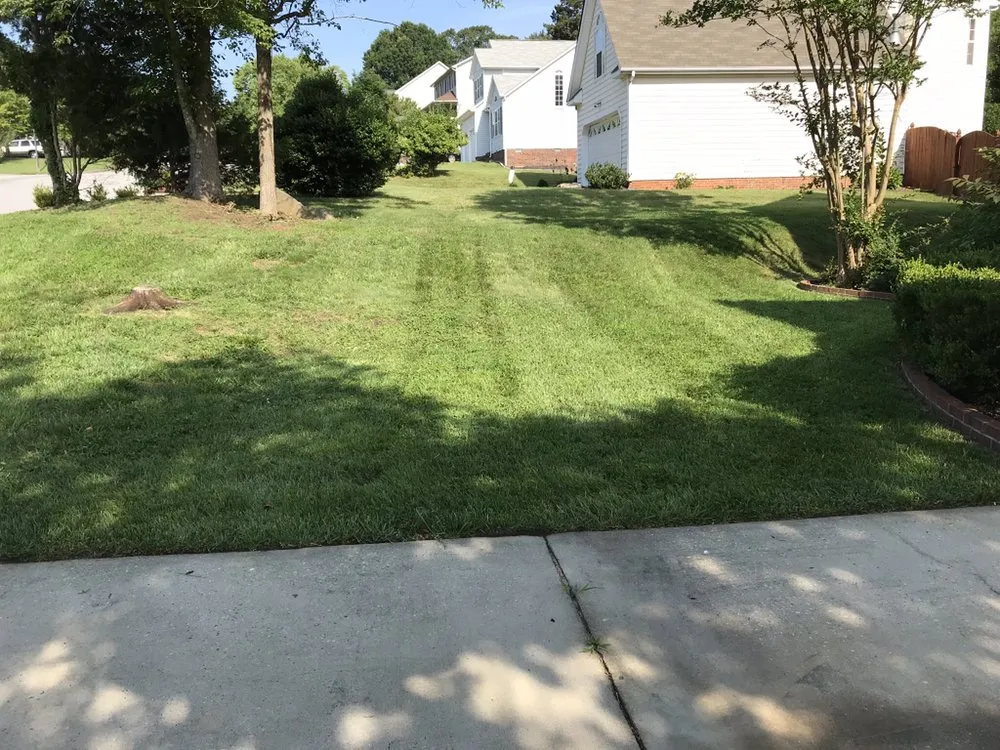 Affordable yard maintenance for residential properties across High Point, NC - United Lawn Care And Tree Service