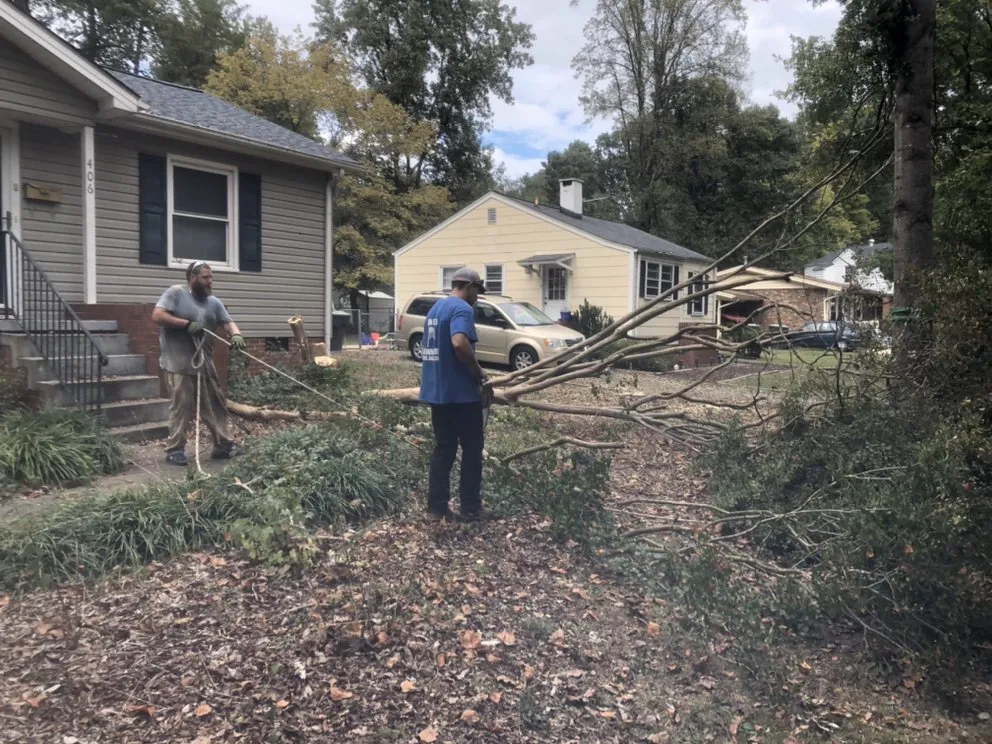 Trusted yard cleanup service for year-round maintenance in High Point, NC by United Lawn Care And Tree Service