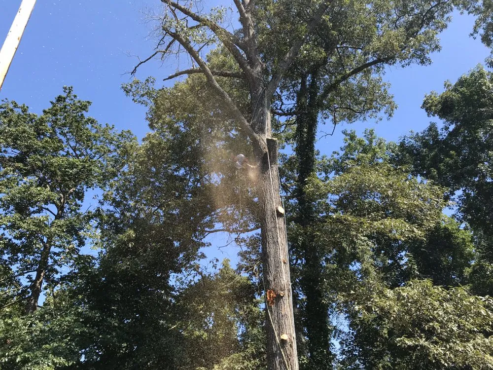 Custom landscape design for outdoor upgrades in High Point, NC by United Lawn Care And Tree Service