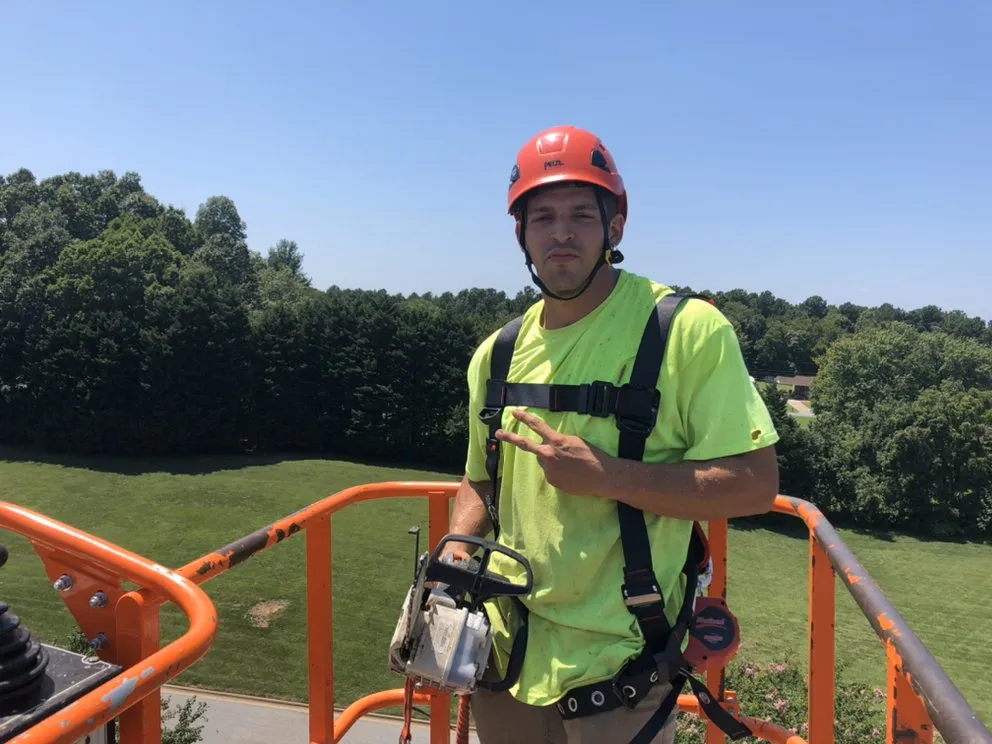 Top-rated residential landscaping in High Point, NC - United Lawn Care And Tree Service