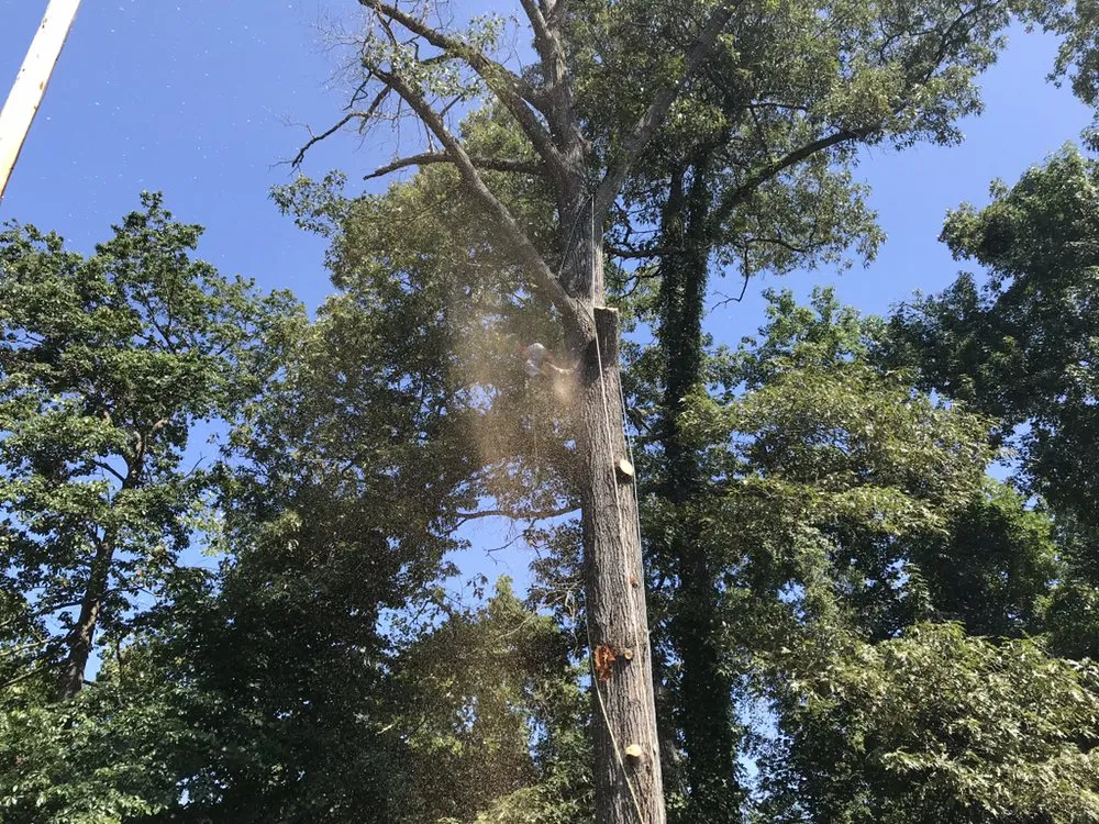 Custom landscape design in High Point, NC - United Lawn Care And Tree Service