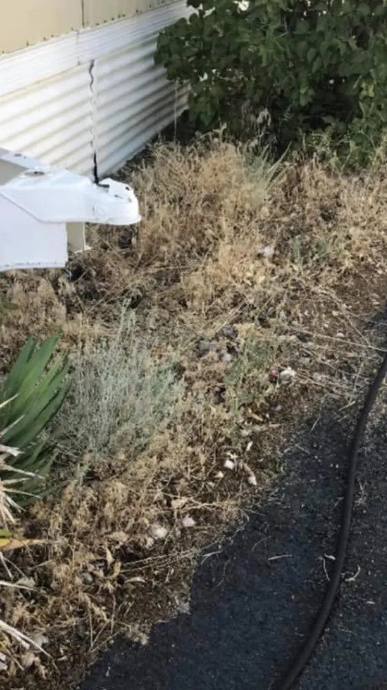 Top-rated garden landscaping experts serving Reno, NV - United Lawn Care Service