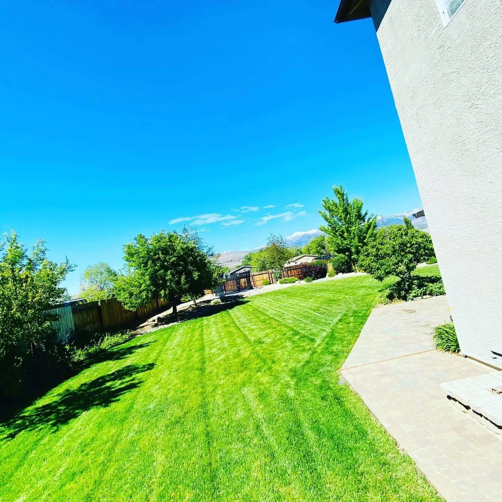 Top-rated lawn mowing service experts serving Reno, NV - United Lawn Care Service