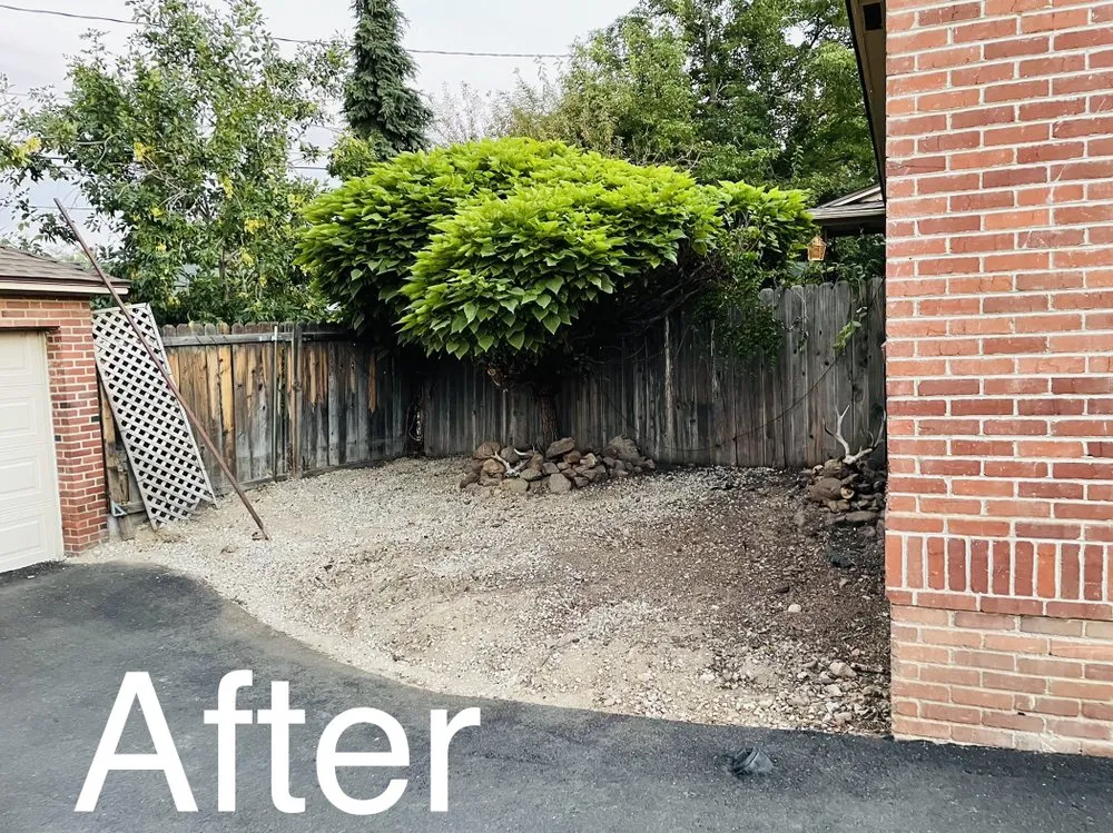 Reliable yard cleanup service for homes across Reno, NV - United Lawn Care Service