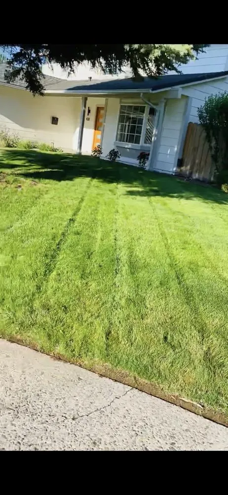 Affordable outdoor landscaping experts serving Reno, NV - United Lawn Care Service