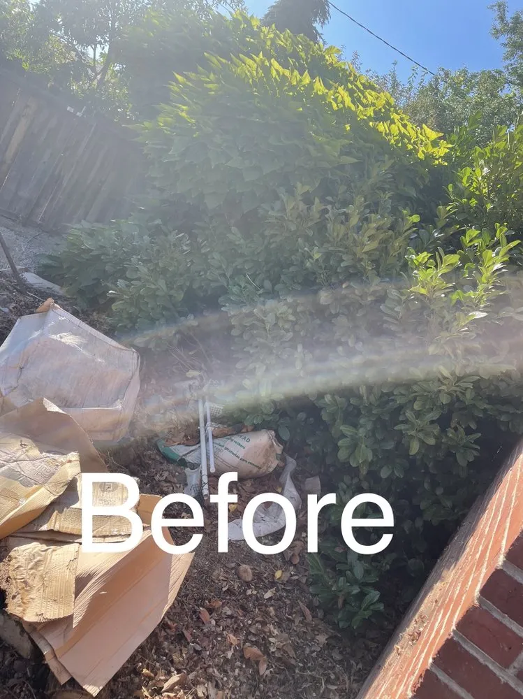 Reliable landscape installation experts serving Reno, NV - United Lawn Care Service