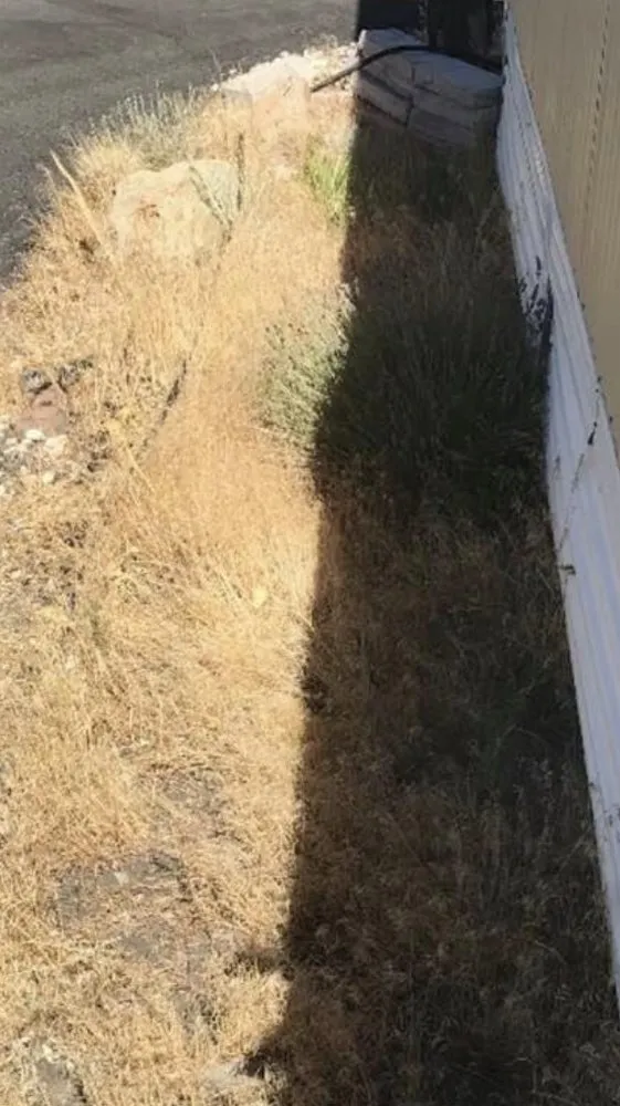 Reliable outdoor landscaping for outdoor upgrades across Reno, NV - United Lawn Care Service