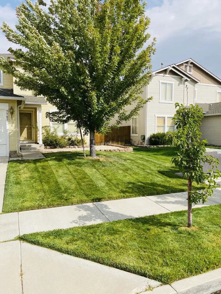 Professional yard cleanup service in Reno, NV - United Lawn Care Service