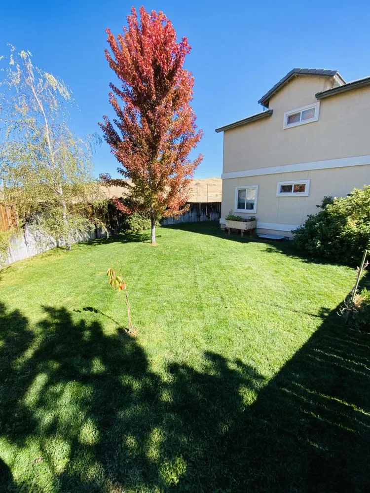 Custom yard cleanup service with custom design across Reno, NV - United Lawn Care Service