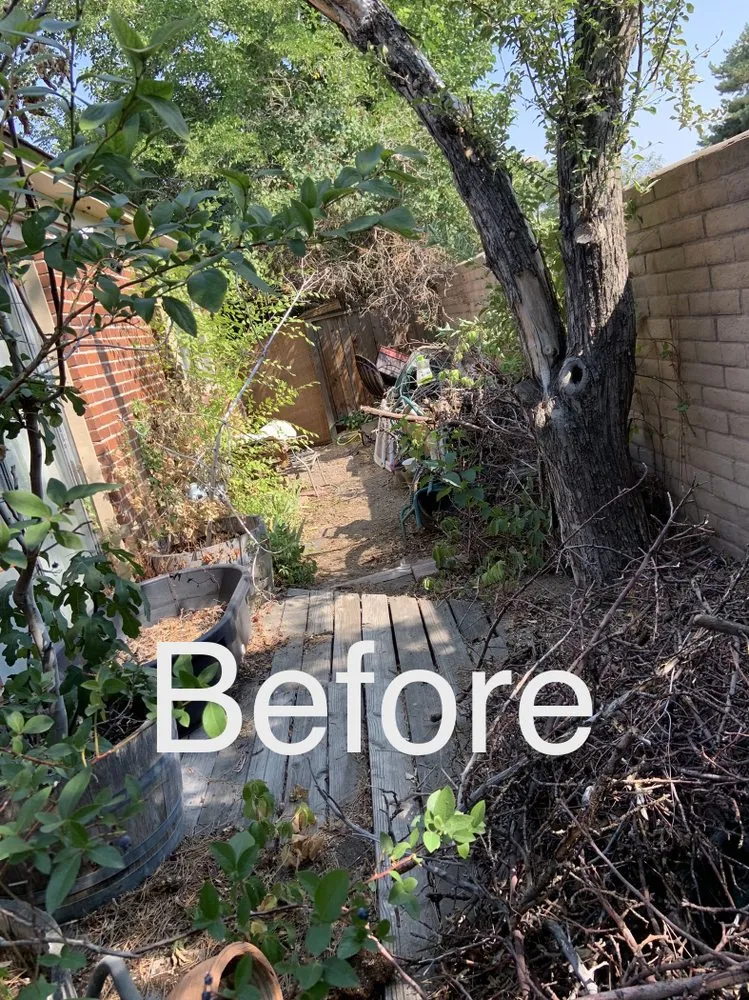 Reliable landscaping services for year-round maintenance across Reno, NV - United Lawn Care Service