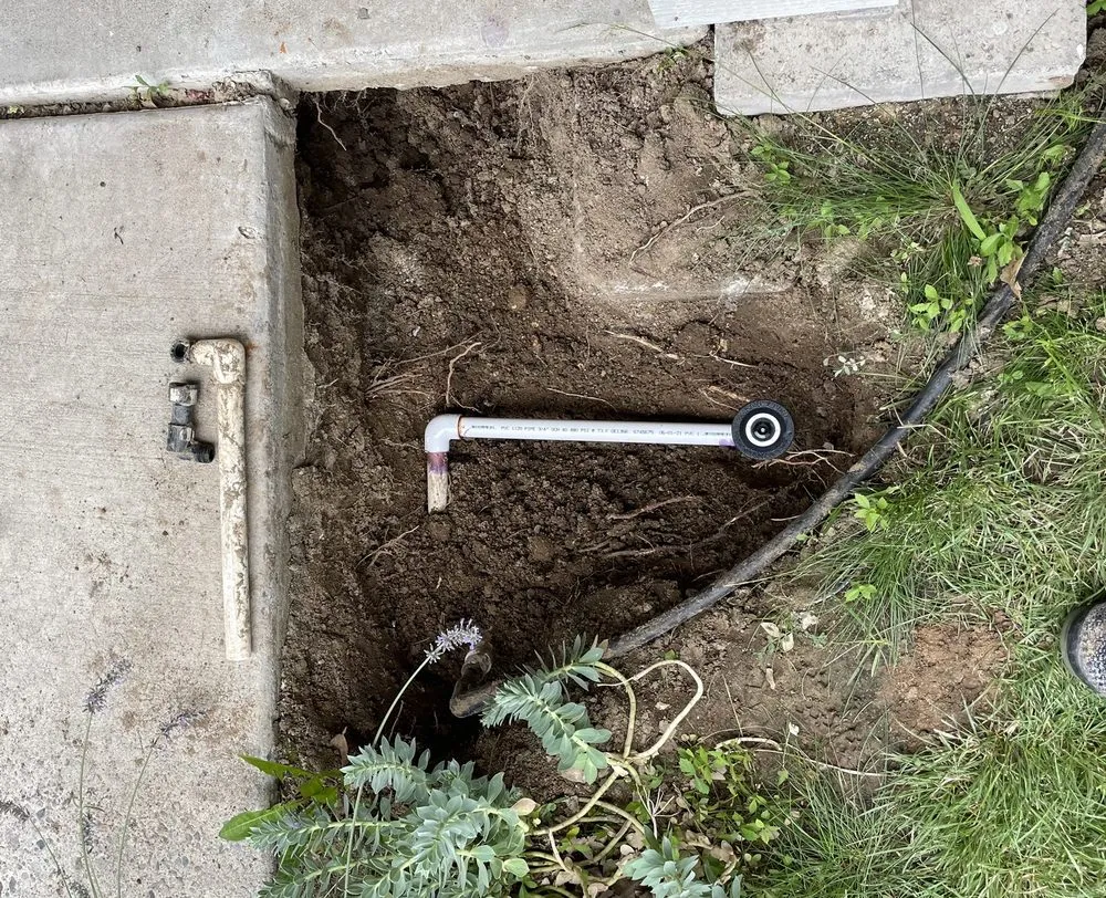 Expert lawn care service in Reno, NV by United Lawn Care Service