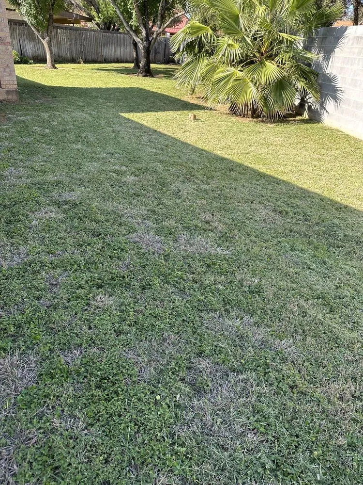 Trusted yard cleanup service experts serving Laredo, TX - United Lawn Care Services