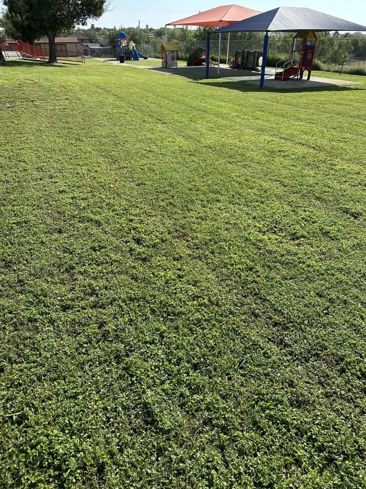 Affordable outdoor landscaping experts serving Laredo, TX - United Lawn Care Services